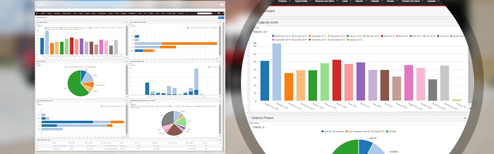 Reporting & Workflow